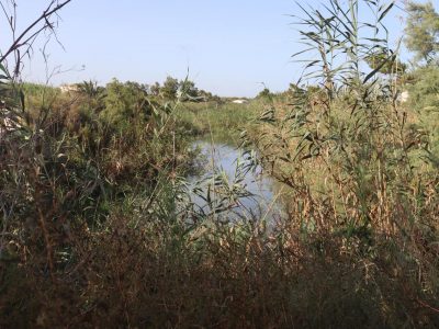 Asaja reclama al Ministerio la urgente actuación sobre el cauce viejo del río Segura