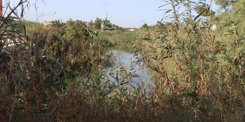 Asaja reclama al Ministerio la urgente actuación sobre el cauce viejo del río Segura
