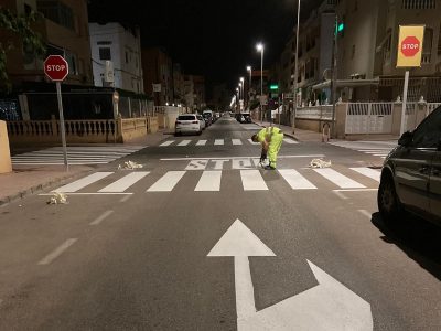 Torrevieja mejora el ritmo de repintado de marcas viales horizontales