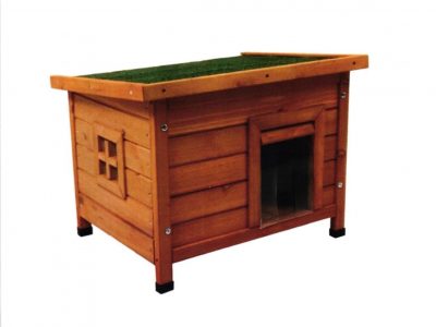 Torrevieja instalará casetas-refugio para las colonias felinas callejeras