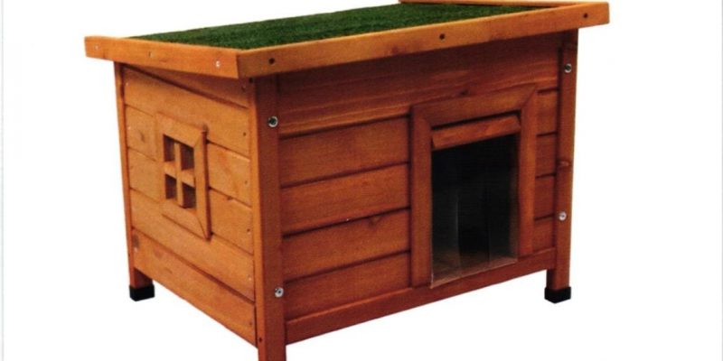 Torrevieja instalará casetas-refugio para las colonias felinas callejeras