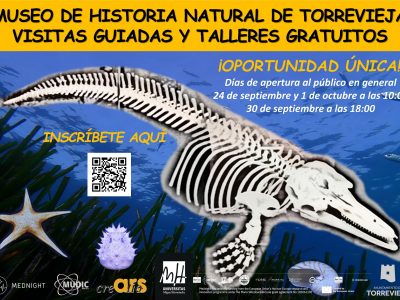 Ars Creatio reabre el Museo de Historia Natural de Torrevieja