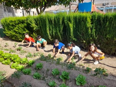 Dos colegios de Sax y Hurchillo en Orihuela se unen en un proyecto ambiental