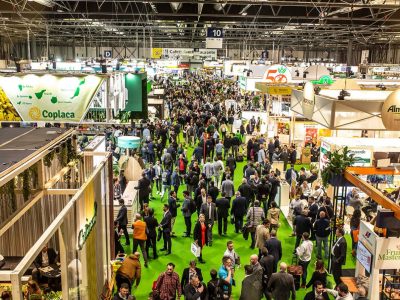 Orihuela visitará a sus empresarios en la feria Fruit Attraction