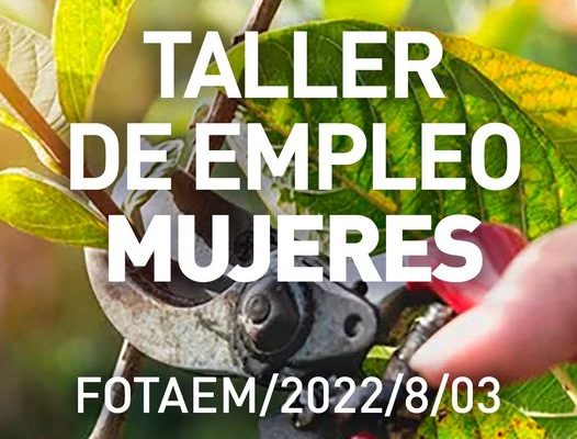 Guardamar creará un programa de empleo y formación para mujeres
