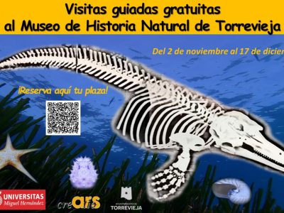 El Museo de Historia Natural de Torrevieja reabre con visitas guiadas