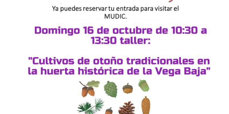 El MUDIC celebra el Día Mundial de la Mujer Rural