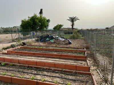 El PP de Orihuela acusa al gobierno local de abandonar los huertos urbanos