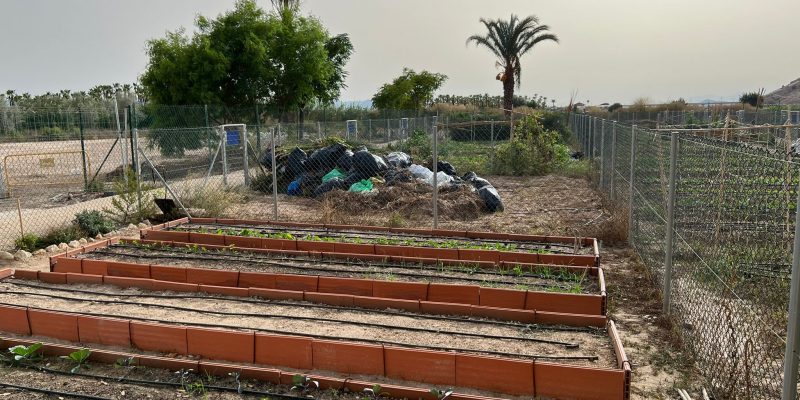 El PP de Orihuela acusa al gobierno local de abandonar los huertos urbanos