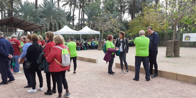 Más de 4oo personas participan en el I Campeonato de Caliche para mayores en Orihuela