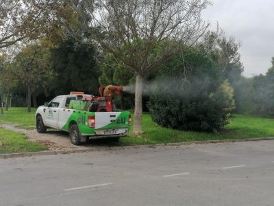 Torrevieja actúa de emergencia para controlar y erradicar mosquitos