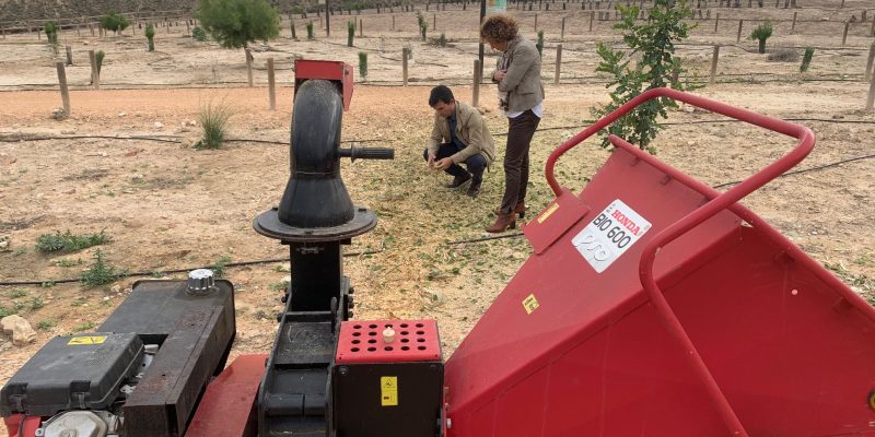 Bigastro implanta la biotrituración de podas para disminuir las quemas