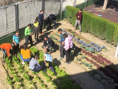 El PP oriolano anuncia la posible pérdida de una subvención de Medio Ambiente