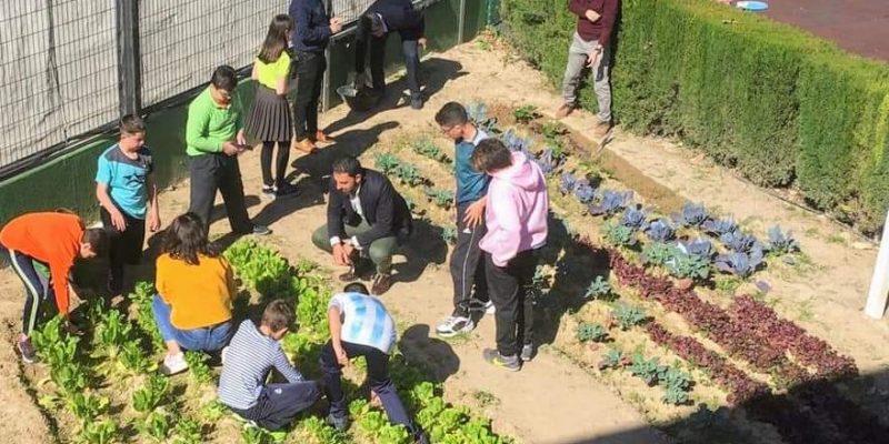 El PP oriolano anuncia la posible pérdida de una subvención de Medio Ambiente