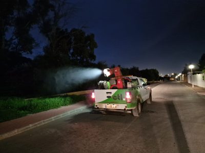 Torrevieja comienza un plan para evitar la eclosión masiva de mosquitos adultos