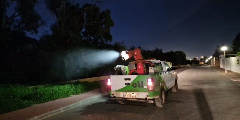 Torrevieja comienza un plan para evitar la eclosión masiva de mosquitos adultos