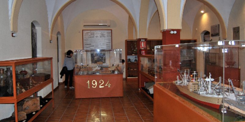 Completas las visitas guiadas al Museo de Historia Natural de Torrevieja