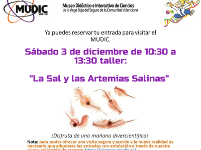 El Mudic organiza un taller sobre la sal y las Artemias Salinas