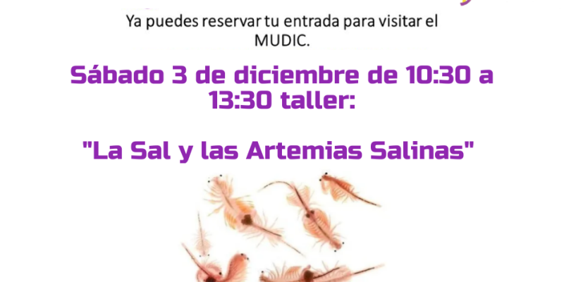 El Mudic organiza un taller sobre la sal y las Artemias Salinas