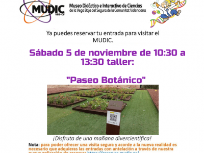 El MUDIC organiza el sábado el taller "Paseo Botánico"