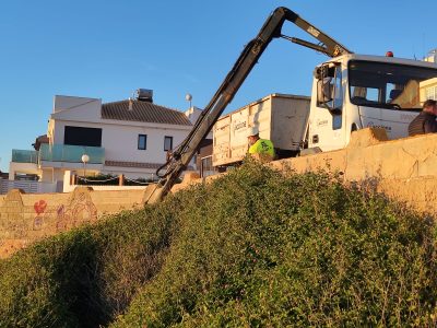 Comienza en Torrevieja la eliminación de flora exótica invasora en Cabo Cervera