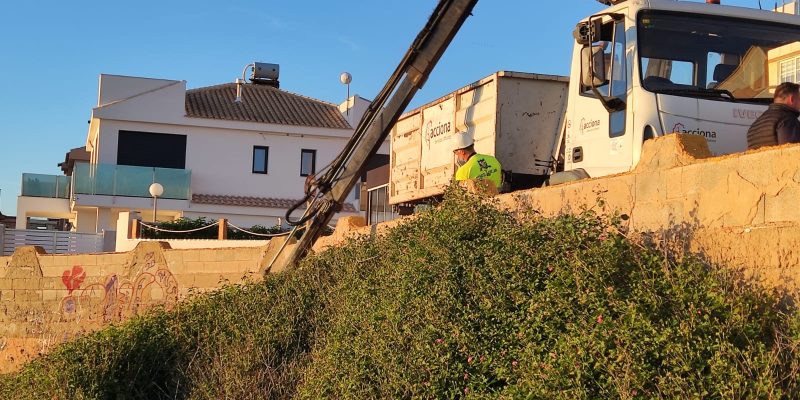 Comienza en Torrevieja la eliminación de flora exótica invasora en Cabo Cervera
