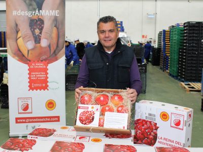 Envían gratis cajas de granada mollar para personas de la Vega Baja que viven fuera