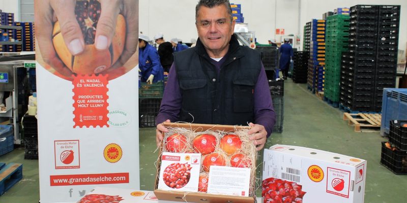 Envían gratis cajas de granada mollar para personas de la Vega Baja que viven fuera