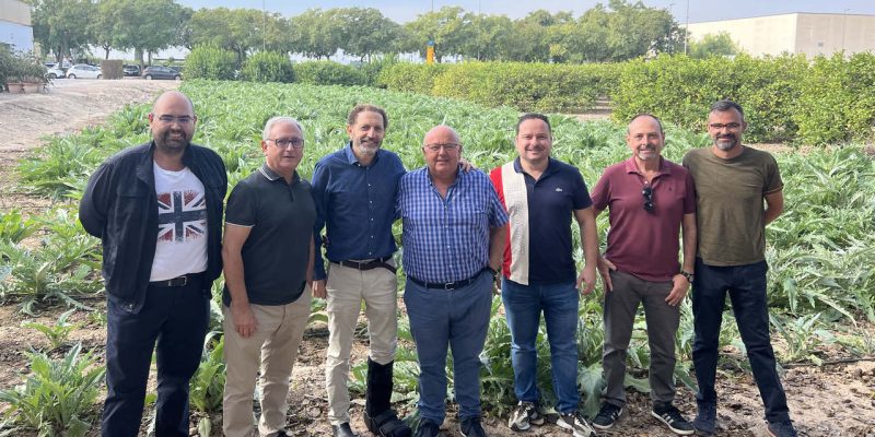 La alcachofa de la Vega Baja inaugurará la temporada en la EPSO de Orihuela