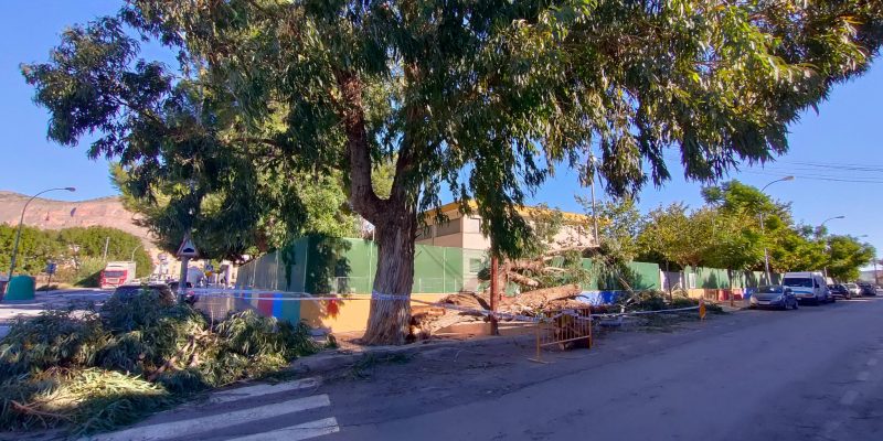 El PP de Orihuela denuncia dejadez de los parques y jardines