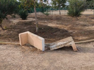 El PP de Orihuela denuncia "el abandono" de los márgenes y sotos del Segura