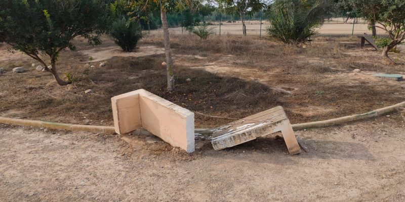 El PP de Orihuela denuncia "el abandono" de los márgenes y sotos del Segura