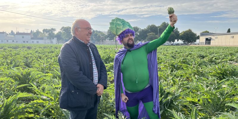 AlcasilMan combatirá los problemas de la alcachofa en la Vega Baja
