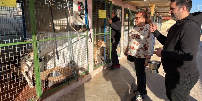Los animales del albergue de Torrevieja recibieron la bendición de San Antón