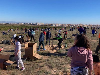 Torrevieja planta especies autóctonas en el parque natural