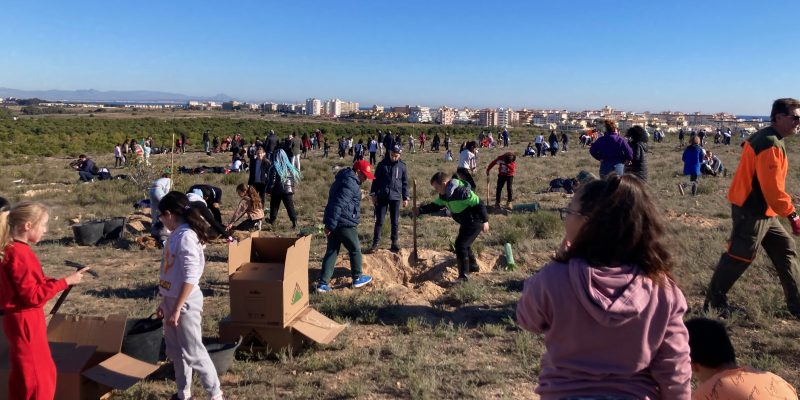 Torrevieja planta especies autóctonas en el parque natural