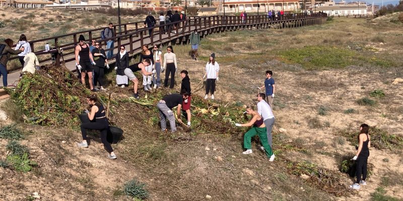 El paraje natural 'Molino del Agua' de Torrevieja avanza en su recuperación