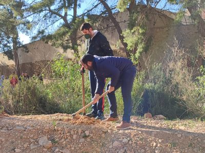 Callosa inicia un plan de reforestación en el paraje de la Cueva Ahumada