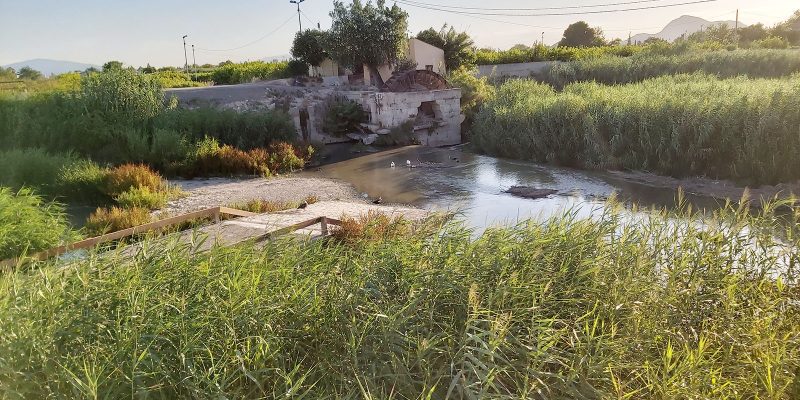 Orihuela adjudica las obras para rehabilitar las Norias Gemelas