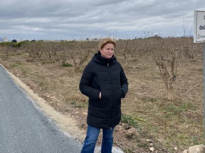 Albatera acondiciona el Camino del Rincón en el extrarradio de la localidad