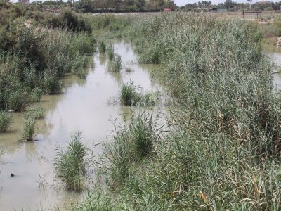 ASAJA tacha de "fracaso" el plan del Gobierno para prevenir inundaciones