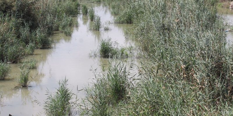 ASAJA tacha de "fracaso" el plan del Gobierno para prevenir inundaciones