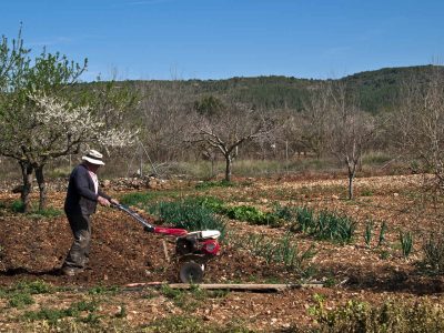 La Unió propone priorizar las ayudas agrarias en las personas profesionales
