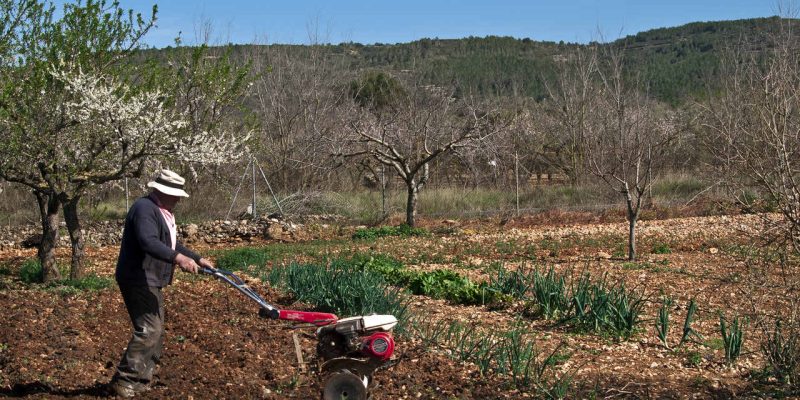 La Unió propone priorizar las ayudas agrarias en las personas profesionales