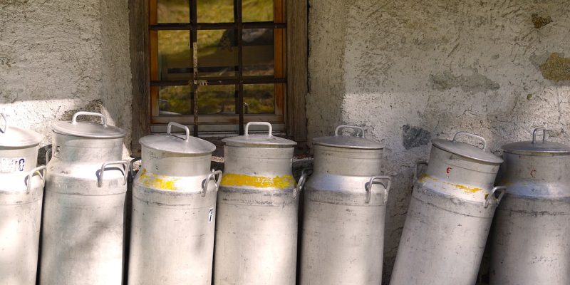 LA UNIÓ denuncia la caída en la explotaciones de leche en la Comunitat