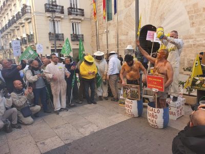 Apicultores de la Comunitat protestan ante les Corts Valencianes