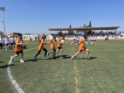 Escolares de Almoradí y Orihuela participarán en las Olimpiadas de la Alcachofa