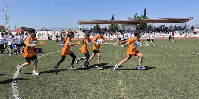 Escolares de Almoradí y Orihuela participarán en las Olimpiadas de la Alcachofa
