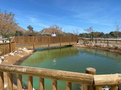 Orihuela finaliza una balsa de riego para regar el soto I6 con aguas depuradas