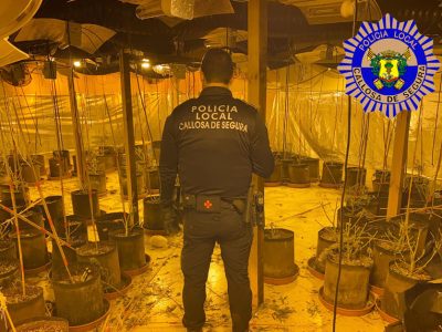 La Policía Local de Callosa de Segura desmantela una plantación de marihuana